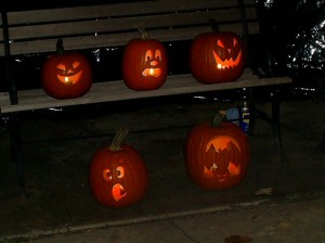 The pumpkins, all lit up