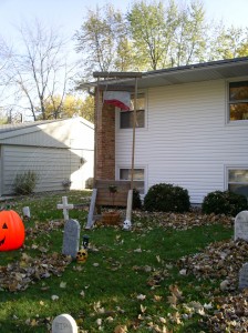 My favorite decoration is back again!