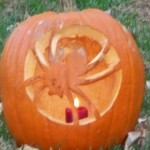 Spidery pumpkin