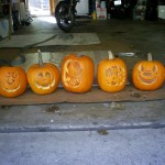 All my cute little pumpkins in a row