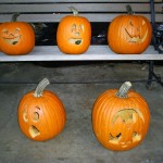 This year's pumpkins