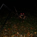 The spider in the graveyard, by night