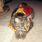 Charlie in his costume